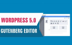 Wordpress 5