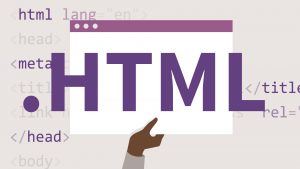 HTML 5