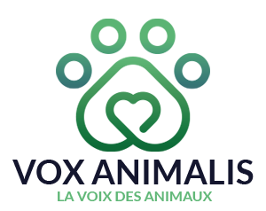 Vox Animalis, Comportementaliste Animalier Grenoble