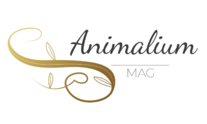 Animalium Mag