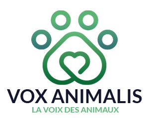 Vox Animalis